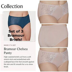 Set of 3! Panties XL Briefs Bramour Chelsea 32 FITS 31-32" High-Waist Nude Lace